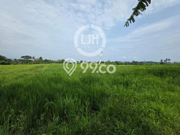 Dijual Tanah 2715m2 di Temesi, Gianyar Dijual Tanah 2715m2 di Temesi, Gianyar