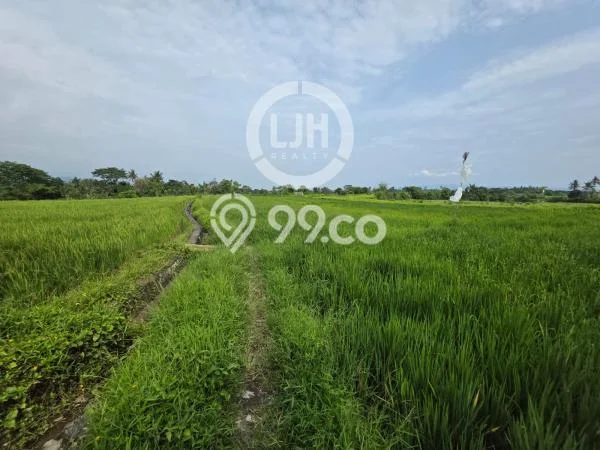 Dijual Tanah 2715m2 di Temesi, Gianyar Dijual Tanah 2715m2 di Temesi, Gianyar