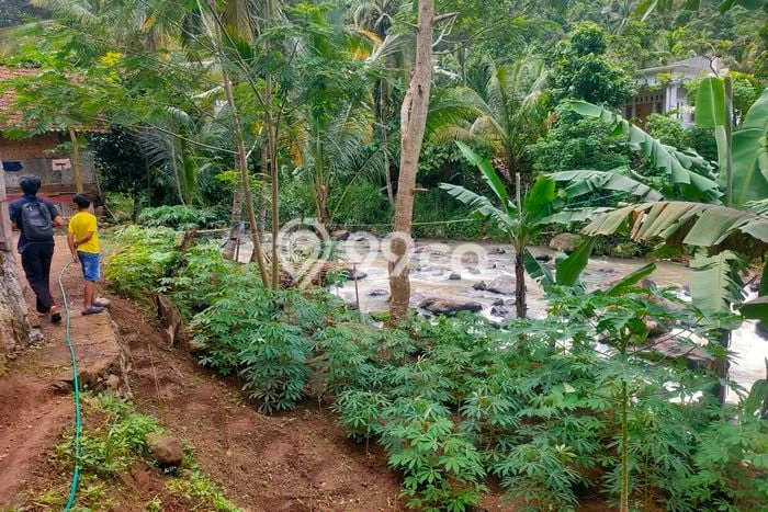 Tanah Komersial Dijual di Padarincang Serang 700m2 Tanah Komersial Dijual di Padarincang Serang 700m2