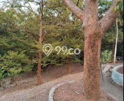 Tanah di Anyer, Anyer Luas 14000m2 Dijual Segera Tanah di Anyer, Anyer Luas 14000m2 Dijual Segera