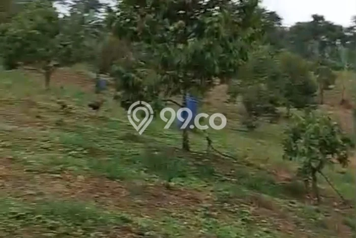 Kavling Tanah Dijual di Mancak Serang Spesifikasi 40000m2 Kavling Tanah Dijual di Mancak Serang Spesifikasi 40000m2