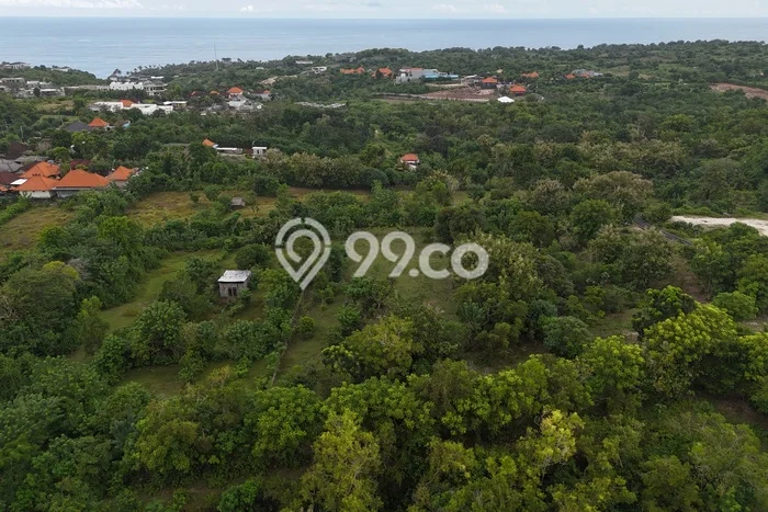 Tanah Disewakan Lokasi Badung Seluas 2800m2 Strategis dan Aman Tanah Disewakan Lokasi Badung Seluas 2800m2 Strategis dan Aman