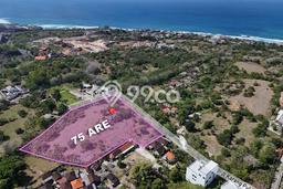 Tanah Dijual Lokasi Strategis di Badung dengan Luas 7500m2 Tanah Dijual Lokasi Strategis di Badung dengan Luas 7500m2