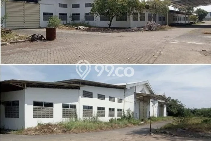 Gudang Disewakan Lokasi Driyorejo Gresik Harga Spesial! Gudang Disewakan Lokasi Driyorejo Gresik Harga Spesial!