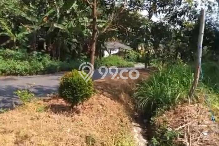 Kavling Tanah Dijual di Limbangan, Kendal, Luas 2803m2 Area Strategis Kavling Tanah Dijual di Limbangan, Kendal, Luas 2803m2 Area Strategis