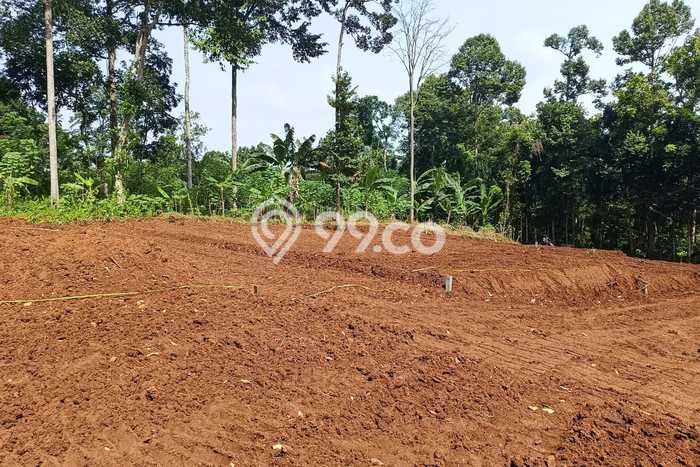 Tanah Kavling untuk Dijual di Gunung Pati Semarang 120m2 Tanah Kavling untuk Dijual di Gunung Pati Semarang 120m2