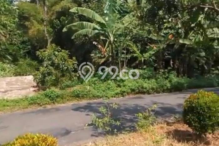 Kavling Tanah Dijual di Limbangan, Kendal, Luas 2803m2 Area Strategis Kavling Tanah Dijual di Limbangan, Kendal, Luas 2803m2 Area Strategis
