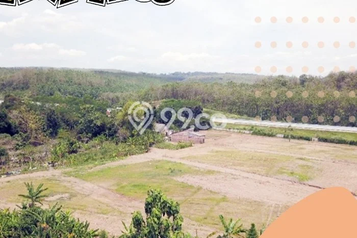 Tanah Dijual Lokasi Ngaliyan, Semarang dengan Luas Tanah 9998m2 dan Status SHM Tanah Dijual Lokasi Ngaliyan, Semarang dengan Luas Tanah 9998m2 dan Status SHM