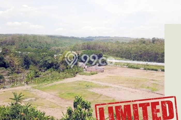 Tanah Dijual Lokasi Ngaliyan, Semarang dengan Luas Tanah 9998m2 dan Status SHM Tanah Dijual Lokasi Ngaliyan, Semarang dengan Luas Tanah 9998m2 dan Status SHM