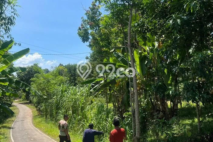 Lahan untuk Dijual Lokasi Jepara, Jepara Luas 1879m2 SHM Lahan untuk Dijual Lokasi Jepara, Jepara Luas 1879m2 SHM