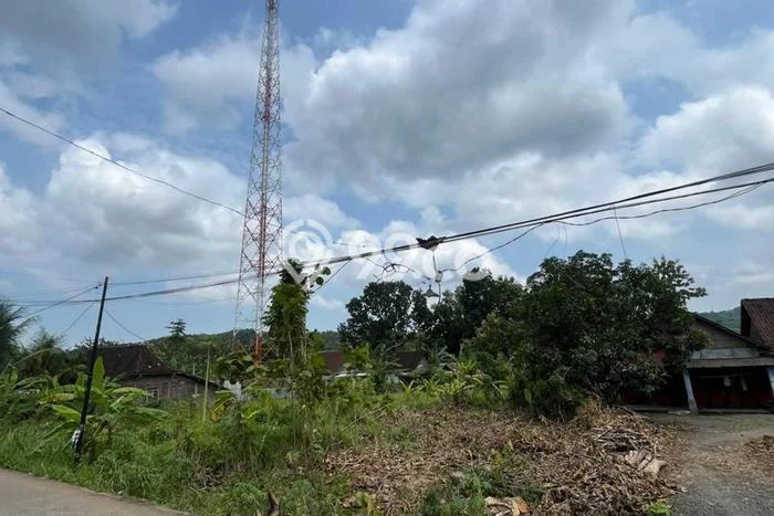 Untuk Dijual Tanah di Ungaran Timur Semarang Luas 600m2 SHM Untuk Dijual Tanah di Ungaran Timur Semarang Luas 600m2 SHM