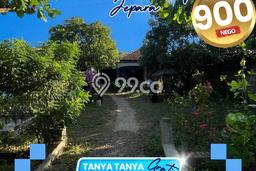 Jual Rumah Minimalis Bagus Punya 3 KT di Jepara Jepara SHM Jual Rumah Minimalis Bagus Punya 3 KT di Jepara Jepara SHM