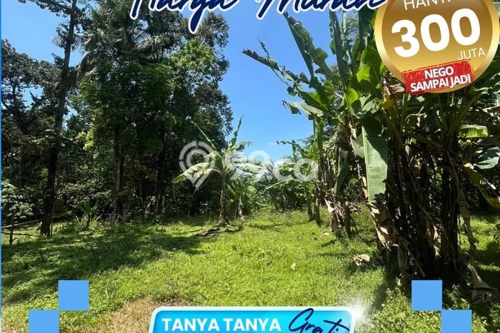 Lahan untuk Dijual Lokasi Jepara, Jepara Luas 1879m2 SHM Lahan untuk Dijual Lokasi Jepara, Jepara Luas 1879m2 SHM