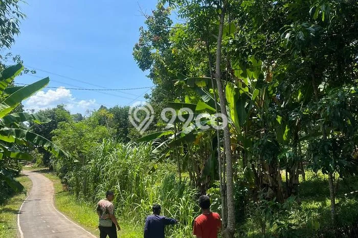 Lahan untuk Dijual Lokasi Jepara, Jepara Luas 1879m2 SHM Lahan untuk Dijual Lokasi Jepara, Jepara Luas 1879m2 SHM