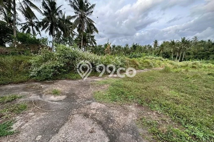 Tanah Dijual Lokasi Selemadeg, Tabanan Luas 102m2 Legalitas Aman Tanah Dijual Lokasi Selemadeg, Tabanan Luas 102m2 Legalitas Aman