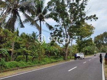 Tanah Kavling Dijual di Antosari, Tabanan dengan Luas Tanah 7275m2 Tanah Kavling Dijual di Antosari, Tabanan dengan Luas Tanah 7275m2