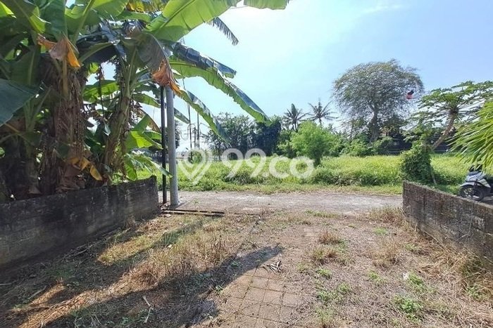 Tanah Dijual Area Strategis di Bongan Tabanan 120m2 Tanah Dijual Area Strategis di Bongan Tabanan 120m2