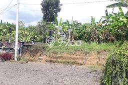 Kavling Tanah di Sukasada Dijual Luas 106m2 Legalitas SHM Kavling Tanah di Sukasada Dijual Luas 106m2 Legalitas SHM