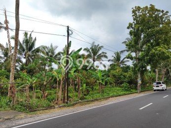 Tanah Kavling Dijual di Antosari, Tabanan dengan Luas Tanah 7275m2 Tanah Kavling Dijual di Antosari, Tabanan dengan Luas Tanah 7275m2