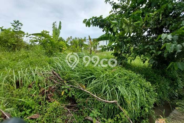 Tanah Disewakan Lokasi Badung Seluas 3700m2 Strategis dan Aman Tanah Disewakan Lokasi Badung Seluas 3700m2 Strategis dan Aman