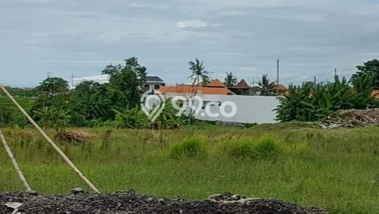 Lahan untuk Disewa di Badung Luas 3815m2 Lahan untuk Disewa di Badung Luas 3815m2