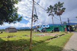 Lahan untuk Dijual Lokasi Gerokgak, Buleleng Luas 315m2 SHM Lahan untuk Dijual Lokasi Gerokgak, Buleleng Luas 315m2 SHM