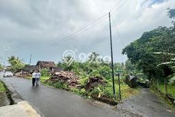 Tanah Dijual Lokasi Strategis di Tabanan dengan Luas 500m2 Tanah Dijual Lokasi Strategis di Tabanan dengan Luas 500m2