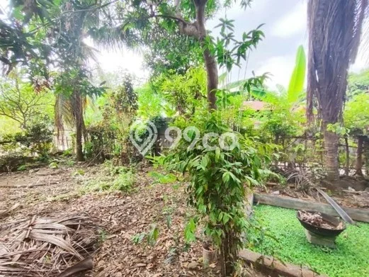Siap Huni Rumah Minimalis & Modern LB 100m2 di Panji Siap Huni Rumah Minimalis & Modern LB 100m2 di Panji