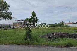 Tanah Kavling Disewakan di Pererenan dengan Luas 3815m2 Tanah Kavling Disewakan di Pererenan dengan Luas 3815m2