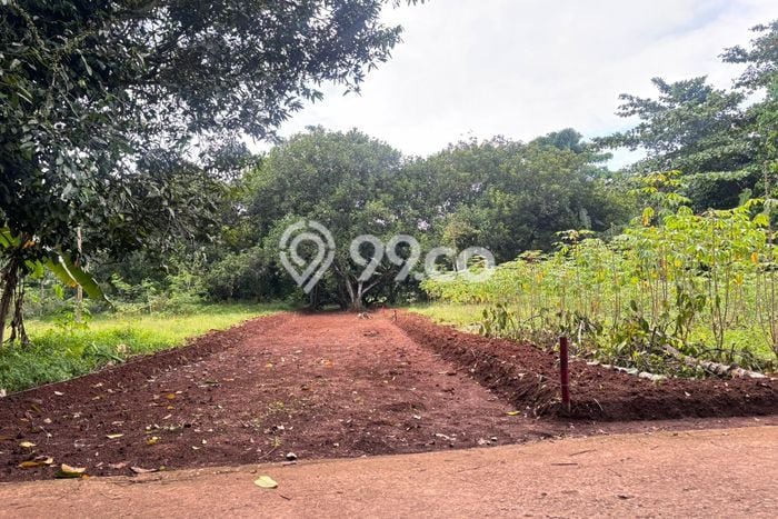 Kavling Tanah Dijual di Setu, Bekasi, Luas 135m2 Area Strategis Kavling Tanah Dijual di Setu, Bekasi, Luas 135m2 Area Strategis