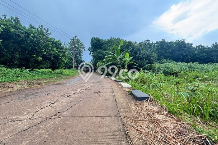 Lahan Investasi Lokasi Setu Bekasi SHM Lahan Investasi Lokasi Setu Bekasi SHM