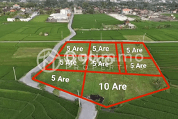 Untuk Disewa Tanah di Badung, Luas 4500m2 Area Berkembang Untuk Disewa Tanah di Badung, Luas 4500m2 Area Berkembang