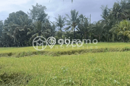 Dijual Tanah di Badung, Luas 2000m2 SHM Dijual Tanah di Badung, Luas 2000m2 SHM