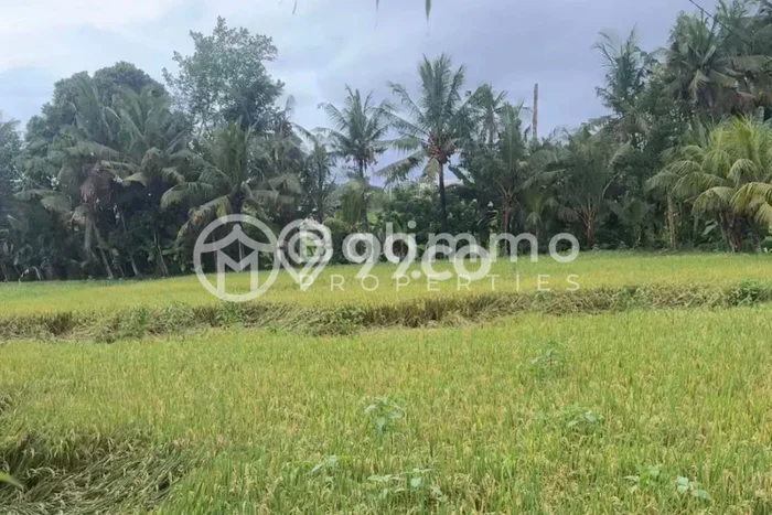 Tanah Komersial Dijual di Tabanan Tabanan 2100m2 Tanah Komersial Dijual di Tabanan Tabanan 2100m2