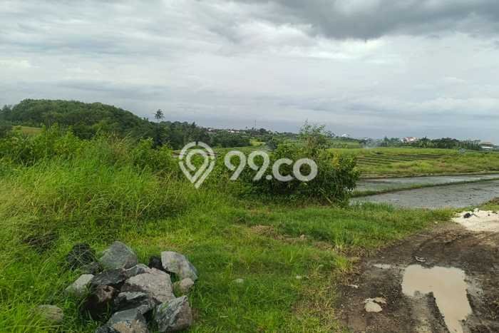 Tanah Siap Bangun Dijual di Tabanan Punya Luas 4500m2 Tanah Siap Bangun Dijual di Tabanan Punya Luas 4500m2