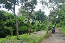 Tanah Dijual Area Strategis di Dalung Badung 170m2 Tanah Dijual Area Strategis di Dalung Badung 170m2