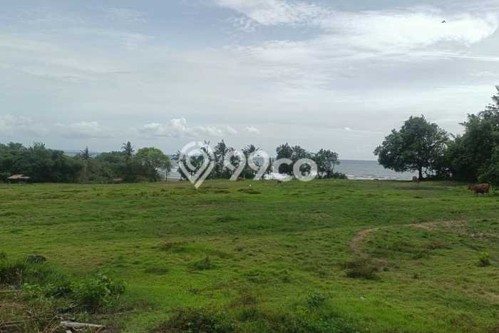 Dijual Tanah Lokasi Kelating, Tabanan Seluas 27100m2 Dijual Tanah Lokasi Kelating, Tabanan Seluas 27100m2