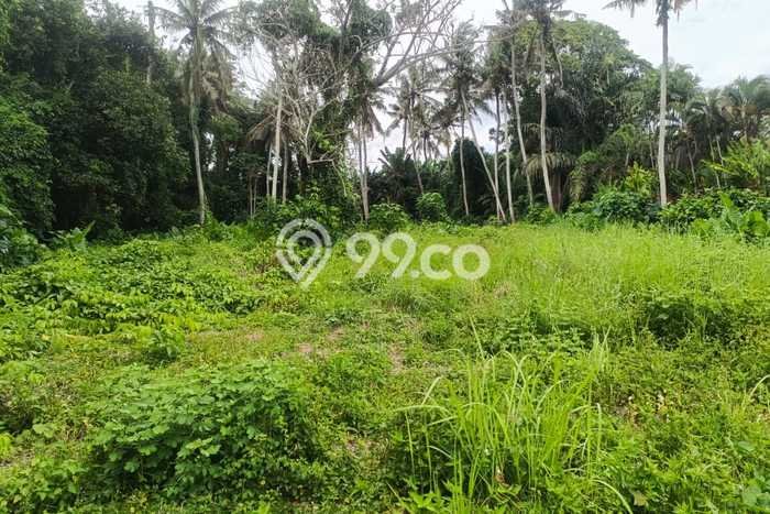 Tanah Siap Bangun Dijual di Tabanan Punya Luas 53m2 Tanah Siap Bangun Dijual di Tabanan Punya Luas 53m2