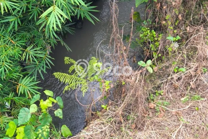 Tanah Siap Bangun Dijual di Gianyar Punya Luas 300m2 Tanah Siap Bangun Dijual di Gianyar Punya Luas 300m2
