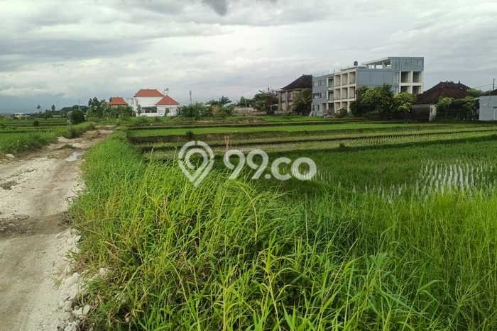 Tanah Kavling Dijual di Kelating, Tabanan dengan Luas Tanah 7m2 Tanah Kavling Dijual di Kelating, Tabanan dengan Luas Tanah 7m2
