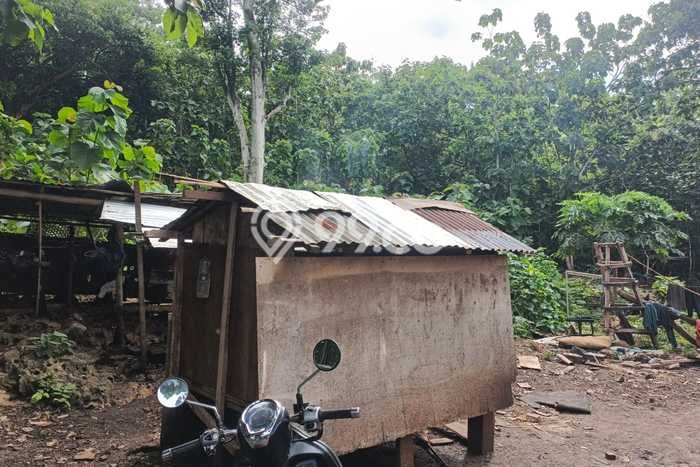 Dijual Tanah Lokasi Jimbaran, Badung Seluas 900m2 Dijual Tanah Lokasi Jimbaran, Badung Seluas 900m2