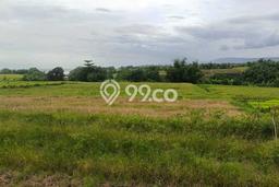 Lahan Dijual Lokasi Strategis di Tabanan dengan Luas 2100m2 Lahan Dijual Lokasi Strategis di Tabanan dengan Luas 2100m2