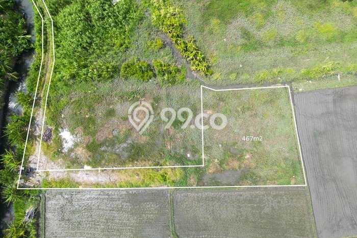 Jarang Ada! Tanah Kavling Disewakan di Badung 467m2 Jarang Ada! Tanah Kavling Disewakan di Badung 467m2