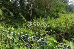 Tanah Disewa di Balangan Strategis dan Memiliki Luas 459m2 Tanah Disewa di Balangan Strategis dan Memiliki Luas 459m2