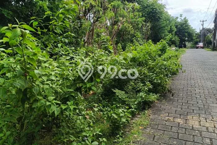 Disewakan Tanah di Jimbaran Badung Seluas 30000m2 Disewakan Tanah di Jimbaran Badung Seluas 30000m2