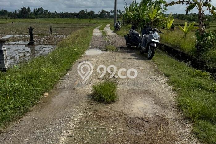 Tanah Kavling Dijual di Tibubiyu, Tabanan dengan Luas Tanah 2000m2 Tanah Kavling Dijual di Tibubiyu, Tabanan dengan Luas Tanah 2000m2
