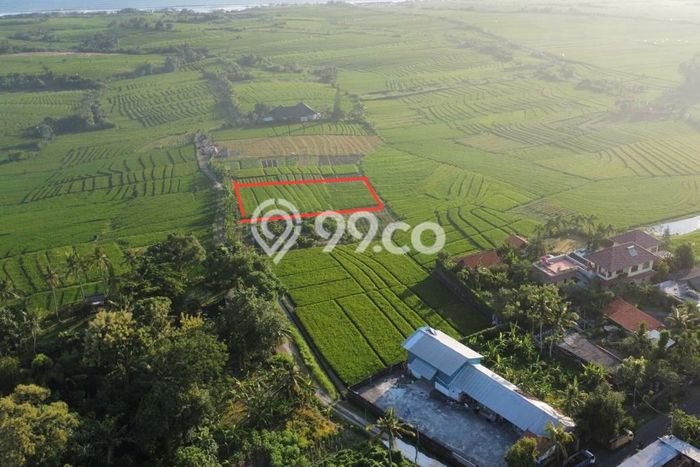 Kavling Tanah untuk Dijual di Tibubiyu, Tabanan, Luas 1700m2 Kavling Tanah untuk Dijual di Tibubiyu, Tabanan, Luas 1700m2