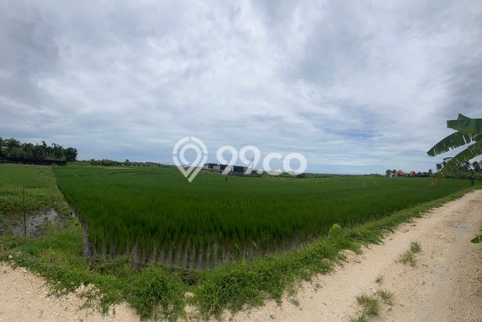 Tanah Dijual Area Strategis di Tibubiyu Tabanan 3300m2 Tanah Dijual Area Strategis di Tibubiyu Tabanan 3300m2