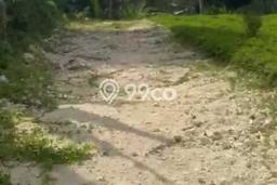 Lahan Investasi Lokasi Tabanan Tabanan SHM Lahan Investasi Lokasi Tabanan Tabanan SHM
