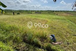 Tanah Kavling Dijual di Tibubiyu, Tabanan dengan Luas Tanah 2000m2 Tanah Kavling Dijual di Tibubiyu, Tabanan dengan Luas Tanah 2000m2